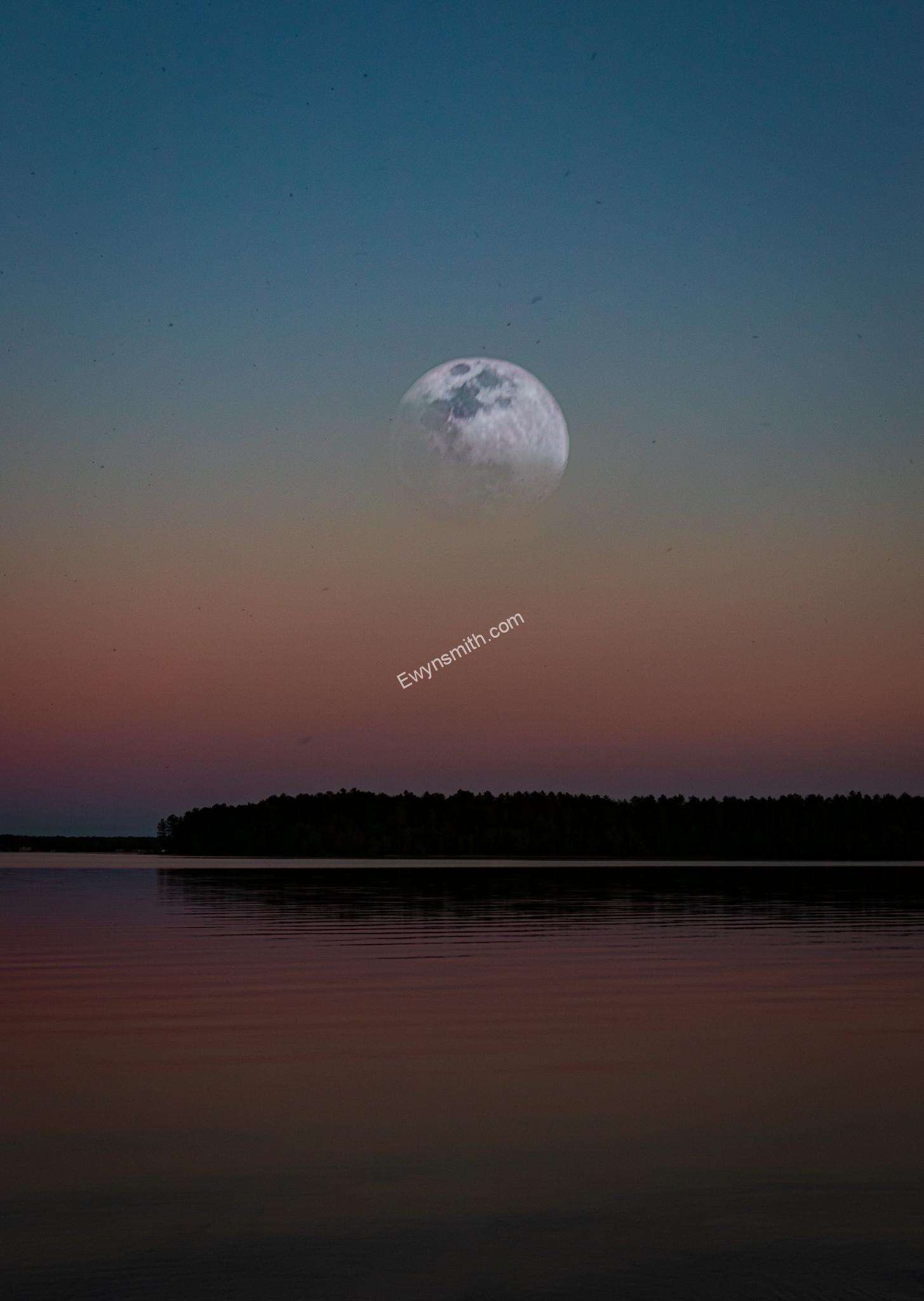 Showing the photo "Looming Moon"